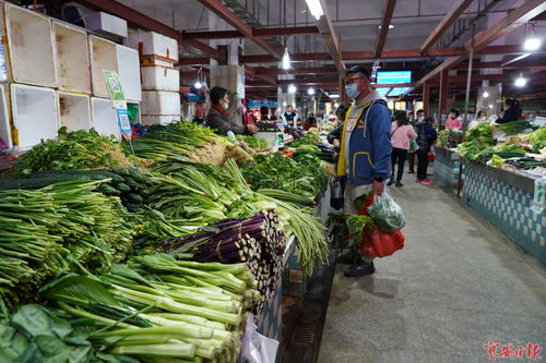 宝安叶菜供应充足，价格稳定保障民生