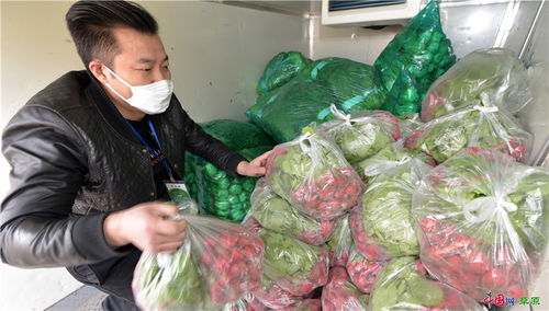 新疆库尔勒乡村志愿者 暖心助力，丰富居民饭桌