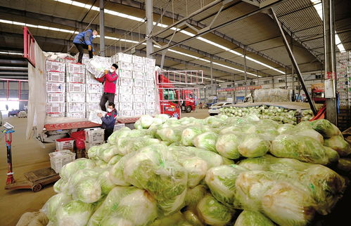 保障“菜篮子” 山西农副产品供应稳定助力民生