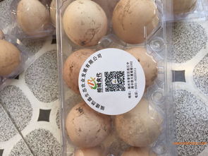 福州性价比高的农副产品供应与配送全攻略