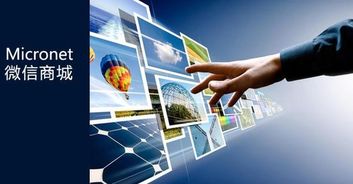 企业微营销运营之道 依托微信第三方平台引领电商开发建设